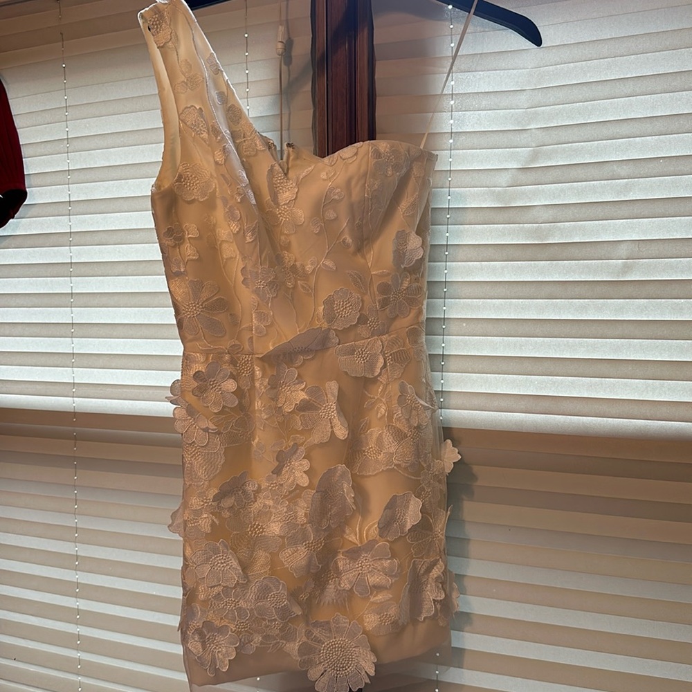 Dress The Population Maddie One-Shoulder Lace Minidress